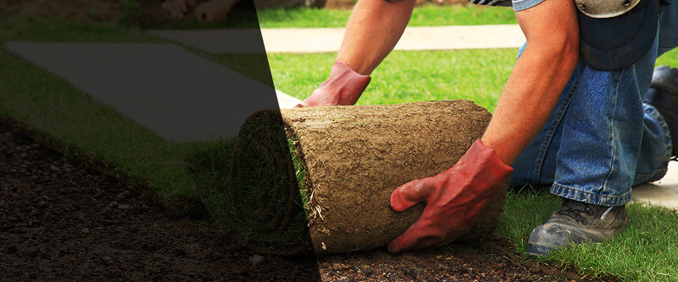 New Lenox Landscapers